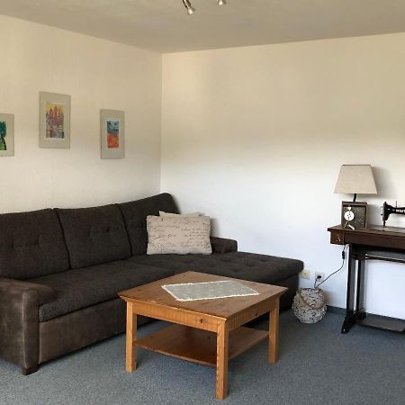 Apartmán Am Duerrenbachtal Klingenthal Exteriér fotografie