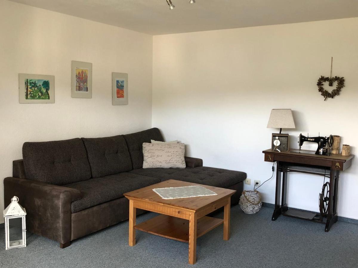 Apartmán Am Duerrenbachtal Klingenthal Exteriér fotografie