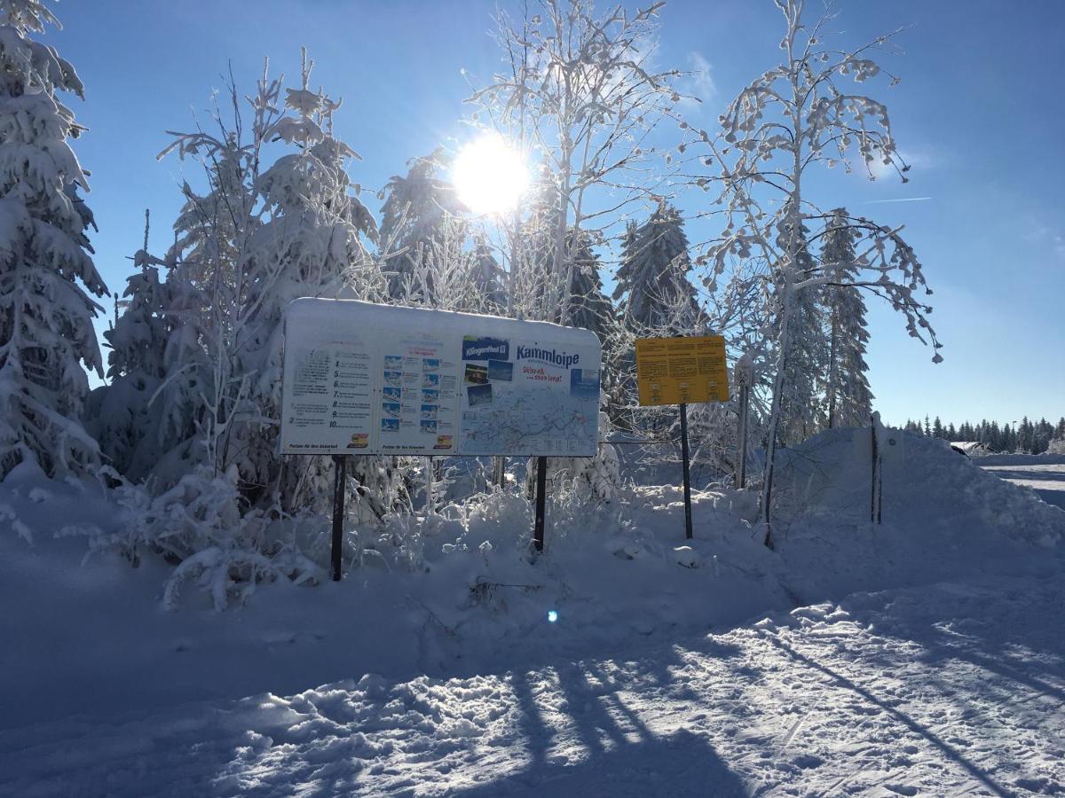 Apartmán Am Duerrenbachtal Klingenthal Exteriér fotografie