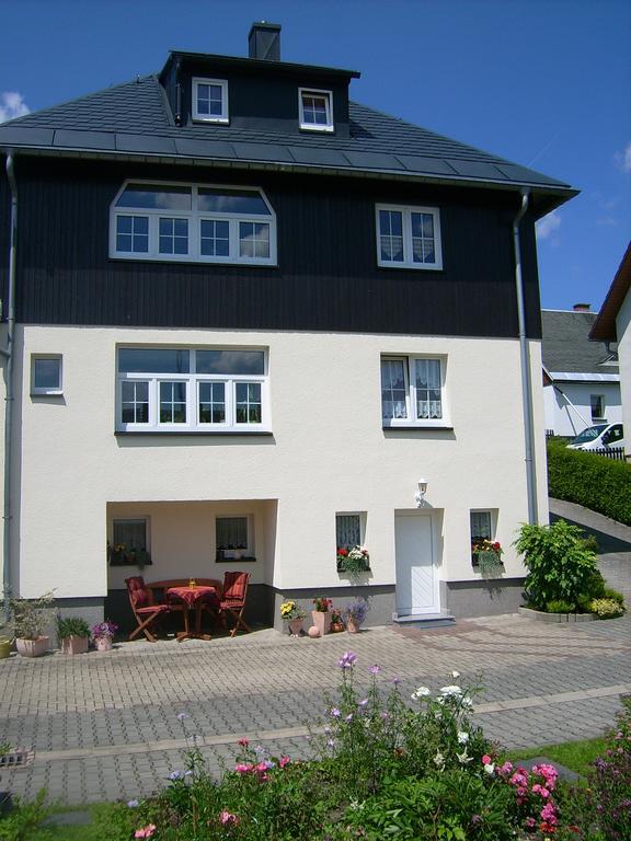 Apartmán Am Duerrenbachtal Klingenthal Exteriér fotografie