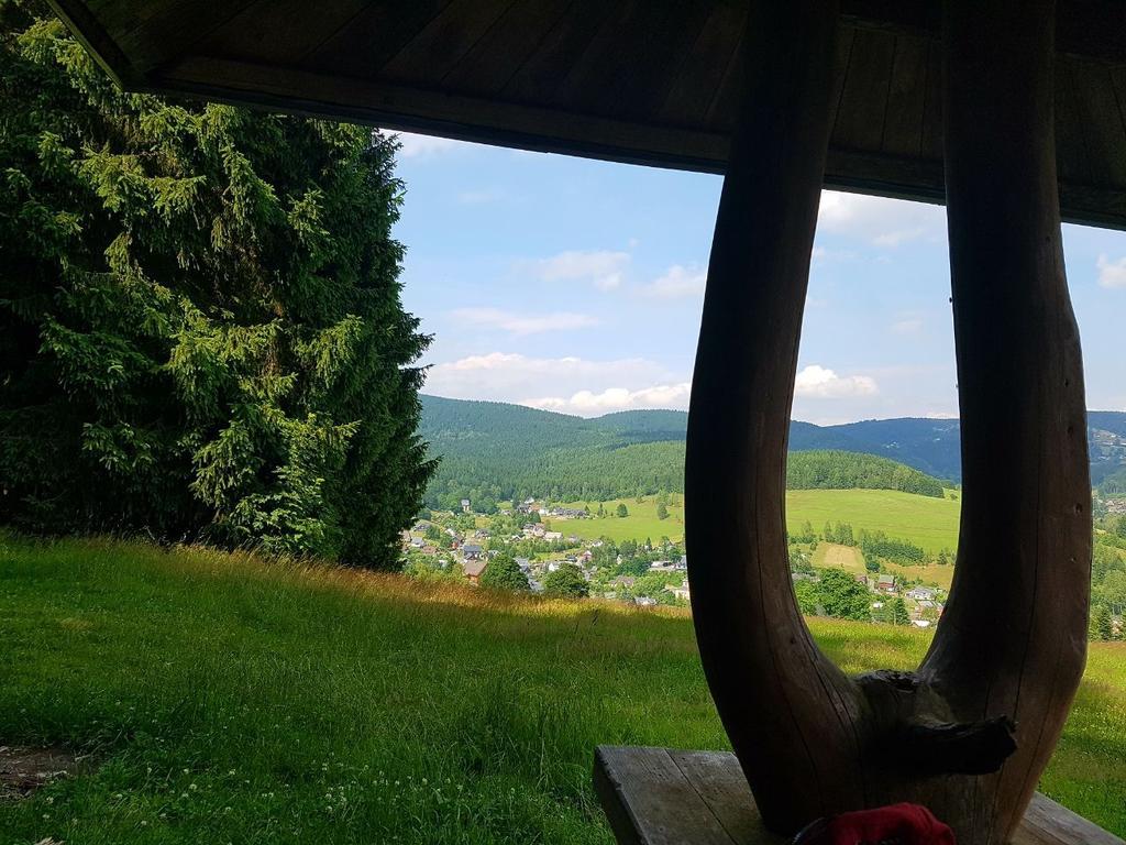 Apartmán Am Duerrenbachtal Klingenthal Exteriér fotografie