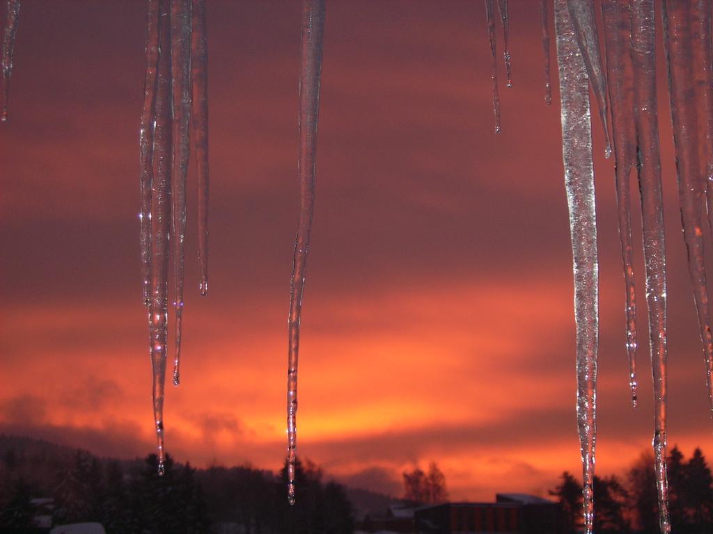 Apartmán Am Duerrenbachtal Klingenthal Exteriér fotografie
